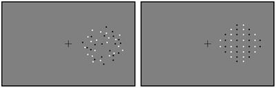 Distinct Mechanisms in Number Comparison of Random and Regular Dots: An ERP Study